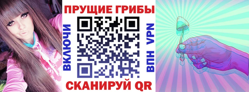 Галлюциногенные грибы Cubensis  Кукмор 